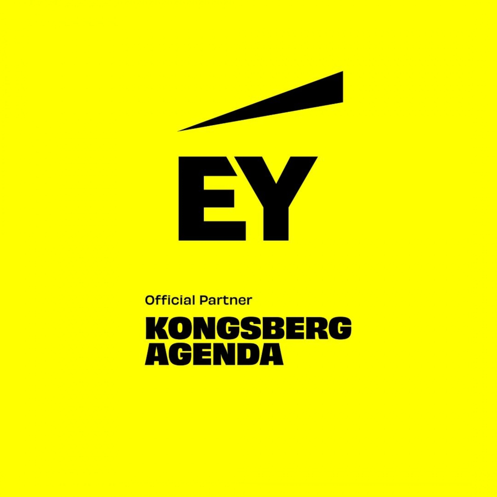 EY går inn som partner