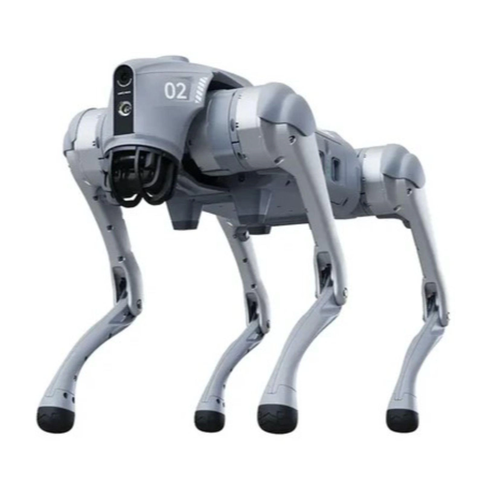 Navnekonkurranse – hva skal robothunden hete