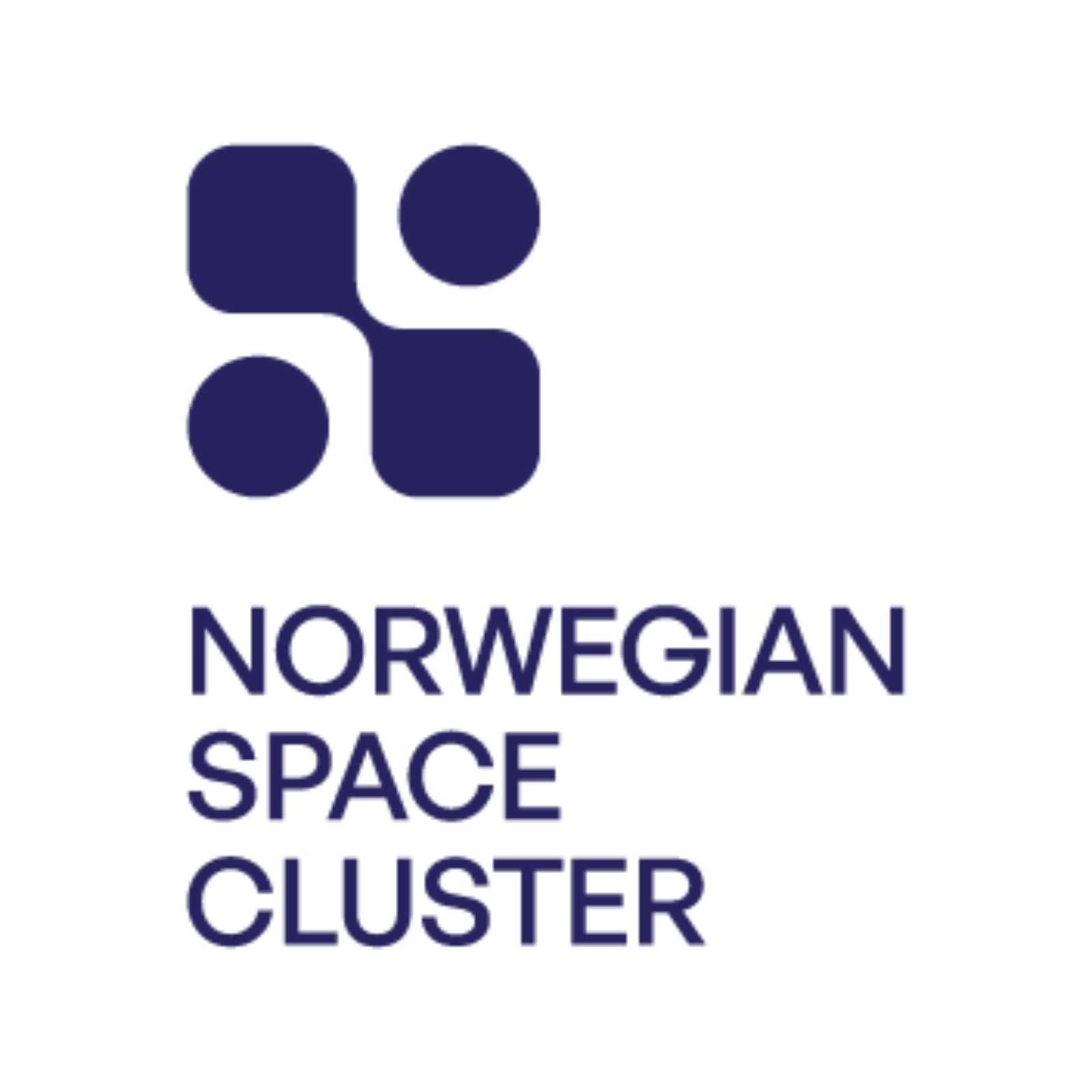 Norwegian Space Cluster